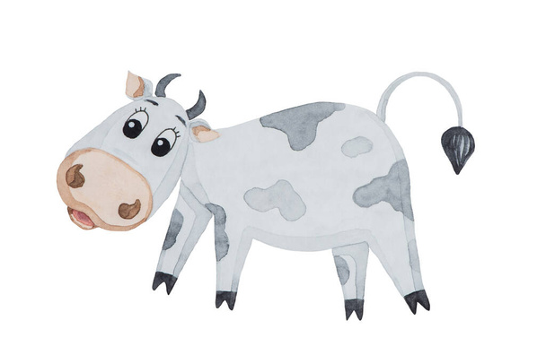 Акварельна ілюстрація красивої смішної мультяшної корови з чорними плямами ізольовані на білому тлі на новий рік
 - Фото, зображення
