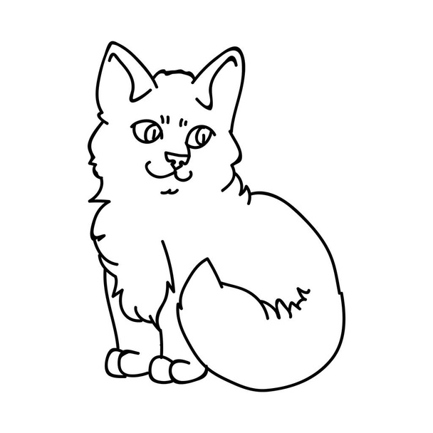 Cute cartoon ragdoll kitten monochrome lineart vector clipart. Pedigree kitty breed for cat lovers. Purebred domestic cat for pet parlor illustration mascot. Isolated feline housecat. EPS 10.  - Vector, Image