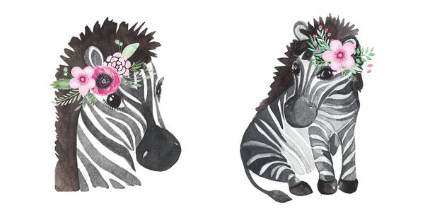 Africa watercolor animals Zebra clipart. Hand painted cute animal set . Perfect for Wallpaper printing packaging invitations baby shower patterns logos - Photo, Image