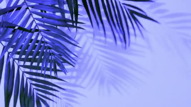 Tropical palm leaves in bold gradient holographic colors - Metraje, vídeo