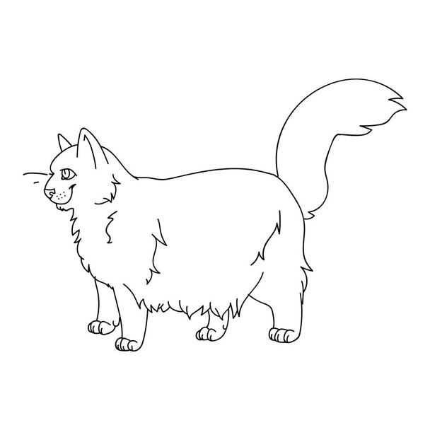Cute cartoon ragdoll cat monochrome lineart vector clipart. Pedigree kitty breed for cat lovers. Purebred domestic cat for pet parlor illustration mascot. Isolated feline housecat. EPS 10.  - Vector, afbeelding