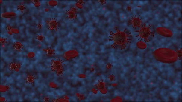 Orvosi háttér. Vörös baktérium és vörösvértest csoport. vírussejtek más részecskékkel. 3D Renderelés Animáció - Felvétel, videó