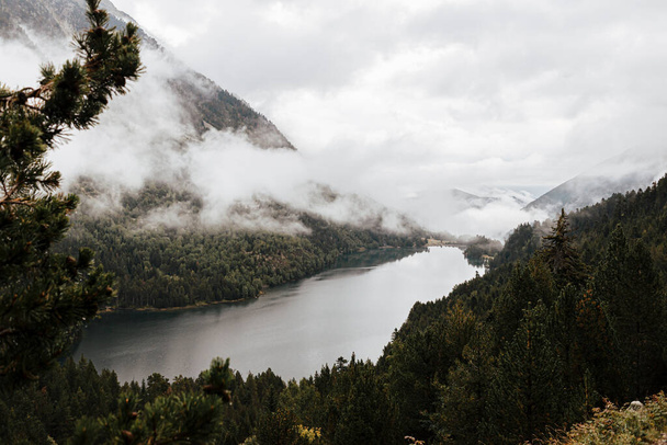 River in a valley surrounded by pine trees with fog and clouds in the Pyrenees. - Фото, изображение