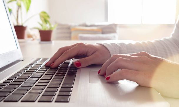 Bizneswoman i pisanie na laptopie, telekomunikacja, praca zdalna w domu, freelancer - Zdjęcie, obraz