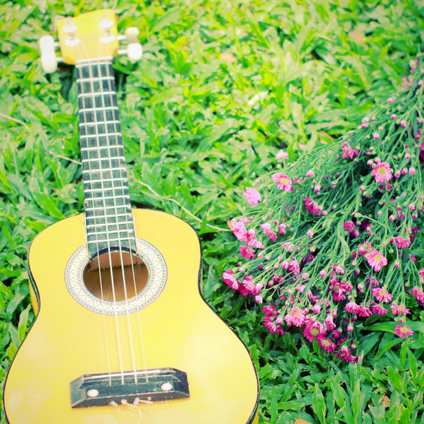 Chitarra ukulele su erba verde con fiore
 - Foto, immagini