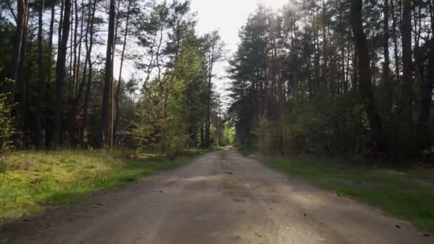caminar por un camino arenoso en un bosque de primavera
 - Metraje, vídeo