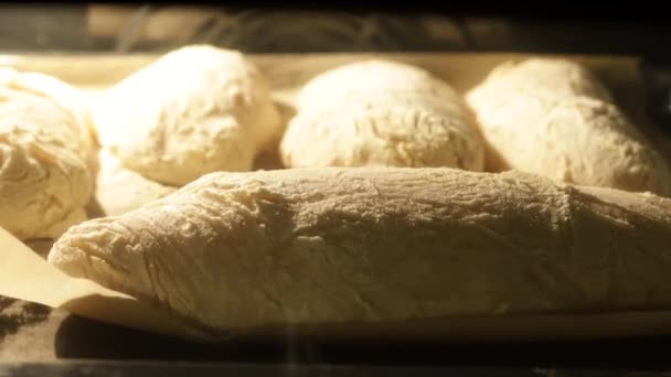 Φύλλα του ψωμιού ψήσιμο στο φούρνο, βίντεο time lapse.  - Πλάνα, βίντεο