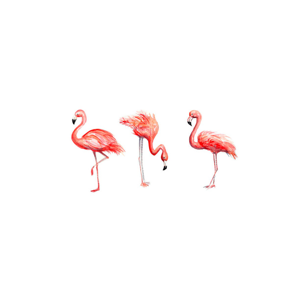  Aquarelle painting of flamingo sketch art pattern - Fotó, kép