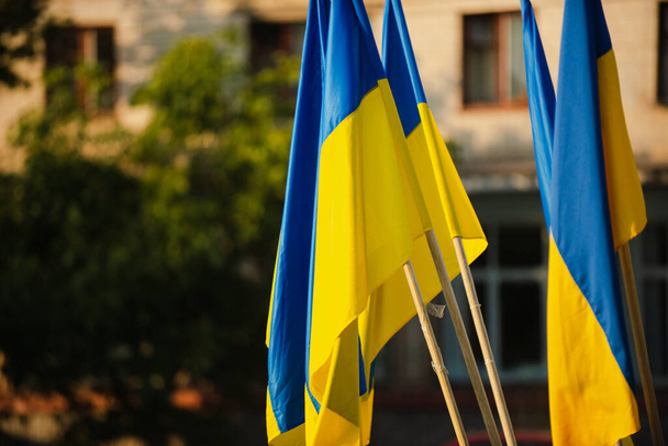 Ukrainian flags on a blurred green background on the street - Foto, Bild