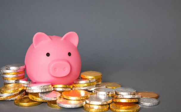 Ein Spar- oder Eigenheimfinanzierungskonzept aus Sparbüchse oder Sparschwein, umgeben von Gold- und Silbermünzen, Bargeld, Währung und Geld, um Wohlstand und Ersparnisse mit Kopierplatz zu bezeichnen - Foto, Bild