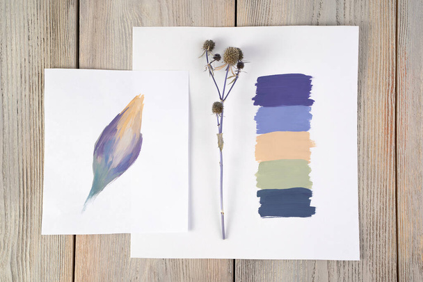 Composition of a palette, a dry natural plant and a drawing. Composition for your design - Zdjęcie, obraz