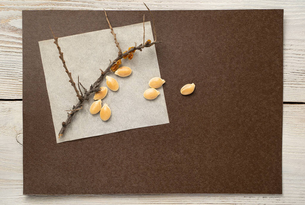 Una rama seca de espino cerval de mar y semillas de calabaza sobre un fondo marrón-beige
. - Foto, imagen