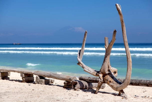 Kuru odunlu tropik plaj, gili Trawangan adası, Bali, Endonezya. - Fotoğraf, Görsel