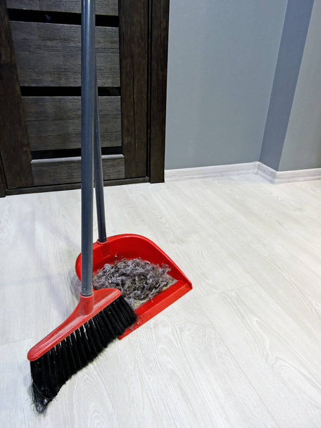 Brush for cleaning and dustbox with dust. The concept of cleaning in the room. - Photo, Image