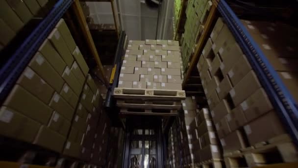 targonca mozgó raklapok kartondobozokkal egy raktárban magas rakfelületű állványokkal - Felvétel, videó