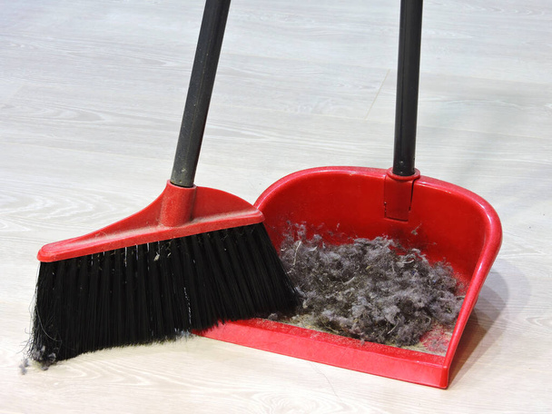 Brush for cleaning and dustbox with dust. The concept of cleaning in the room. - Foto, Bild