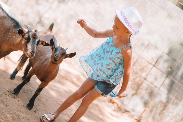 Kislány az állatkertben egy kis aranyos kecskével - Fotó, kép