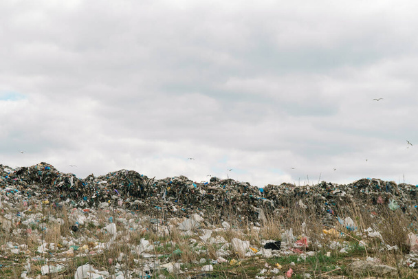 Birds circling over the garbage. City dump. A Huge Garbage Dump - Valokuva, kuva