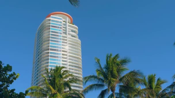 Miami condomini a molti piani con file di palme
 - Filmati, video