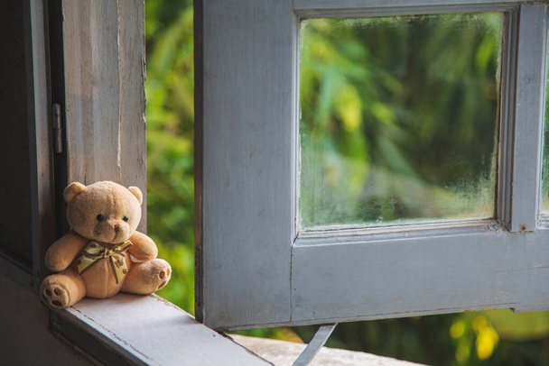 Lonely teddy bear sitting on a frame of window and looking at outside window with green nature blurred background. - Photo, Image