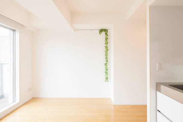 Espacio habitable y pared en un apartamento de nueva construcción sin muebles
 - Foto, Imagen