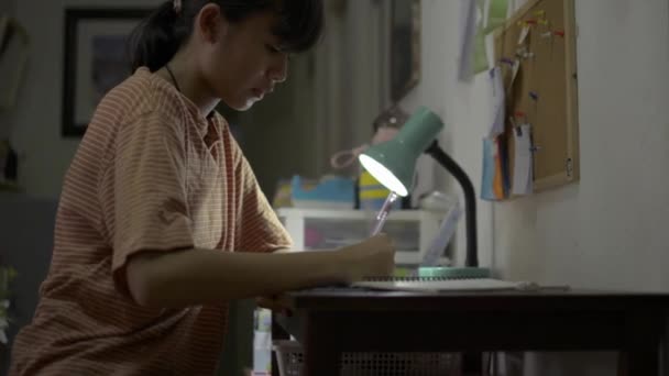 Middelbare school meisje studeren en schrijven tijdens het doen van huiswerk op het bureau 's nachts. Onderwijs en wijsheid. - Video