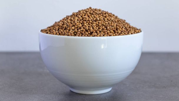 Coriander Seeds Bowl front view Neutral background with negative space to add captions - Фото, изображение