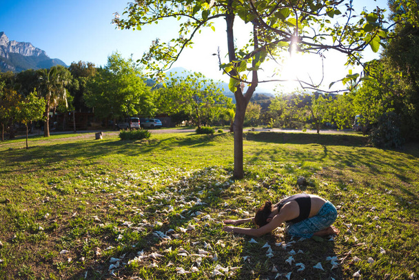 Het meisje oefent yoga op het groene gras op een achtergrond van groene bomen en bergen, Een vrouw voert asanas bij zonsondergang, Meditatie in de natuur, Oefening voor de ontwikkeling van evenwicht. - Foto, afbeelding