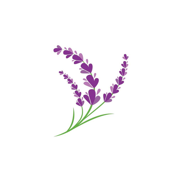 Fresh Lavender flower logo vector flat design - Vector, Imagen
