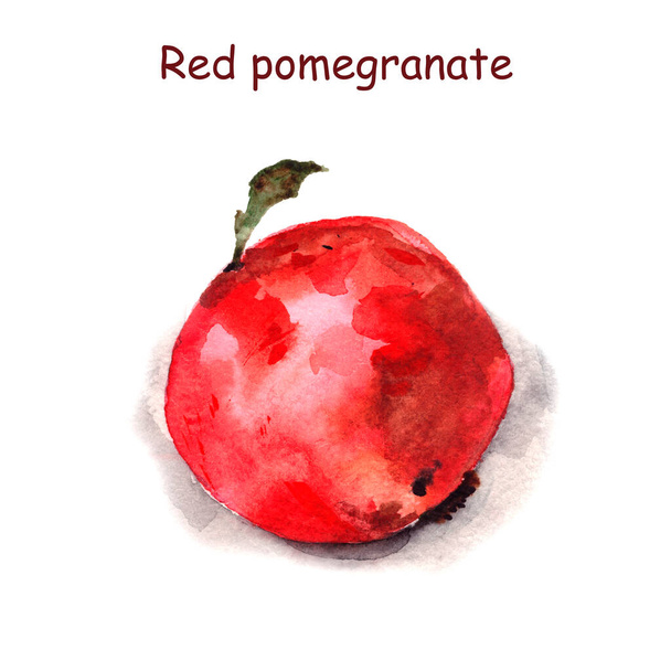  illustrazione ad acquerello di un utilissimo disegno di melograno rosso frutta, isolato
 - Foto, immagini