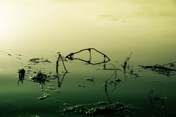 Озеро, которое отравлено и загрязнено
 - Фото, изображение
