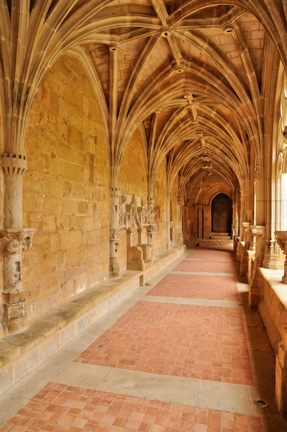 Fransa, manastırda perigord cadouin - Fotoğraf, Görsel