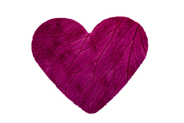 close up of a rose petal in the shape of a heart and showing the leaf structure - Photo, Image