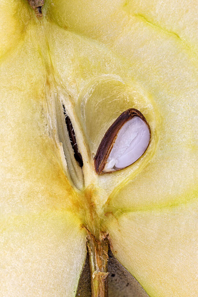 extrême gros plan de l'intérieur d'une pomme
 - Photo, image