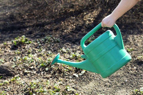 Samičí ruka drží zavlažovací plechovku, zalévá zahradu, zem vodou. Pro růst rostlin, sazenic. Jarní výsadba, ekologie - Fotografie, Obrázek