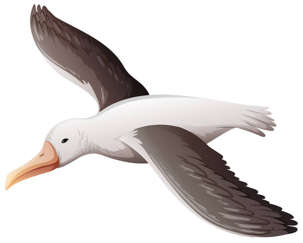 seagull flying on white background illustration - Vector, Image