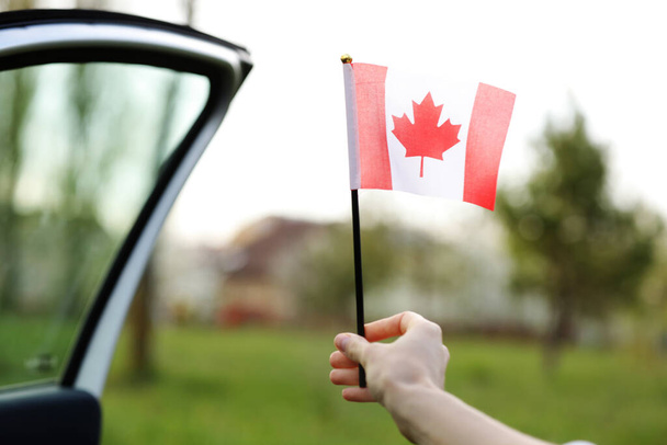 Flag of Canada, National symbol waving against, sunny day. Canada flag in woman hand. selective focus. - Zdjęcie, obraz
