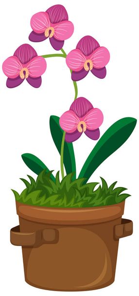 Beautiful orchids in clay pot on white background illustration - Vektor, kép
