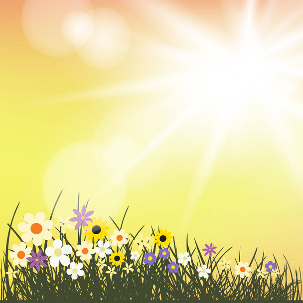 Summer flowers grows in sun rays. Grass silhouette on evening yellow and orange sunshine backdrop. Spring or summer beautiful nature meadow - Вектор,изображение