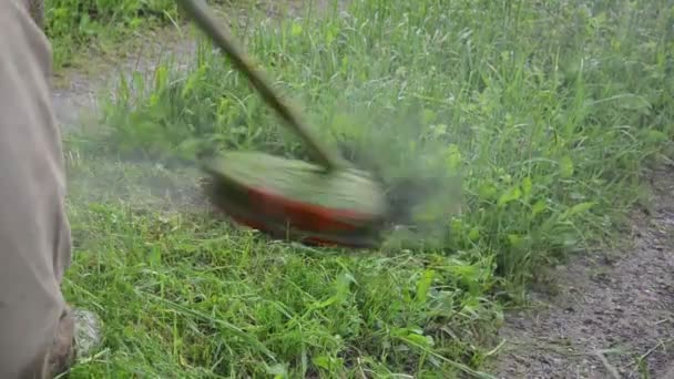 Man wet pant grass cut - Felvétel, videó