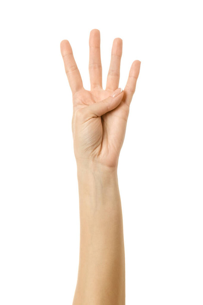 Number four. Woman hand with french manicure gesturing isolated on white background. Part of series - Φωτογραφία, εικόνα