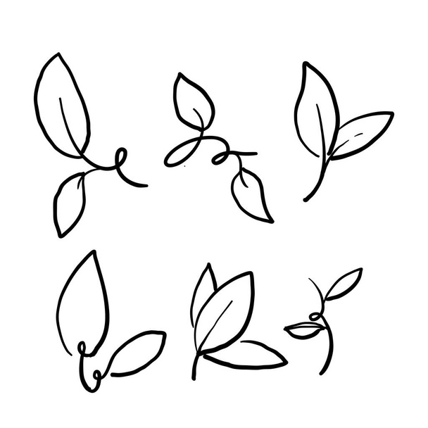 hand drawn eco set of black line leaf icons on white background doodle - Vetor, Imagem
