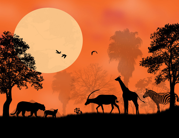 Safari au coucher du soleil
 - Vecteur, image