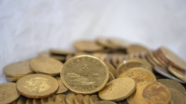 багато золотих монет на білому тлі, економія грошей, концепція економіки
 - Фото, зображення