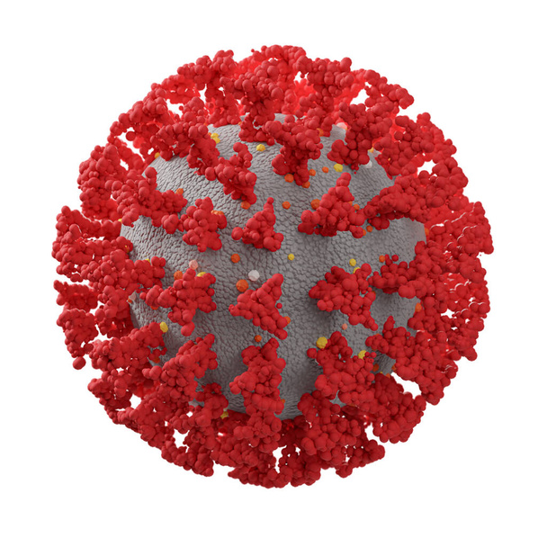  Coronavirus auf weißem Hintergrund - 3D-Darstellung - Foto, Bild