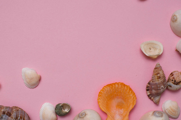 Different seashells on a bright pink background , the concept of holidays by the sea. - Valokuva, kuva