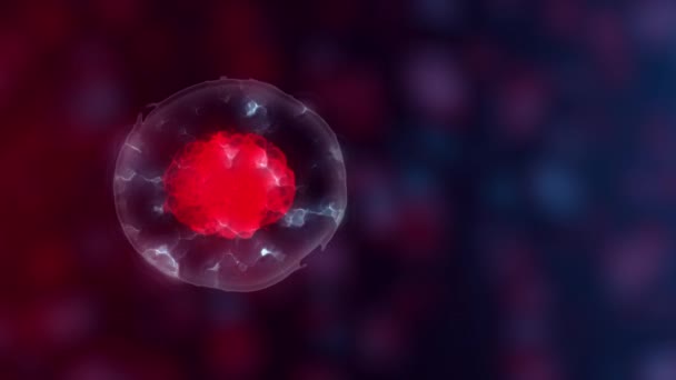 Células madre embrionarias o crecimiento, rehabilitación y tratamiento de enfermedades, ilustraciones 3D
 - Metraje, vídeo