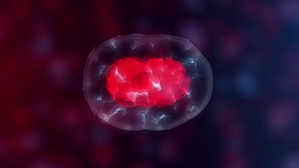 Células madre embrionarias o crecimiento, rehabilitación y tratamiento de enfermedades, ilustraciones 3D
 - Metraje, vídeo