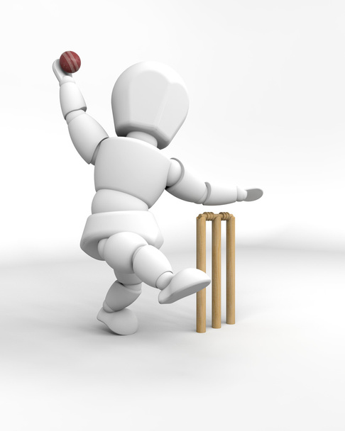 человек играет в крикет - Фото, изображение