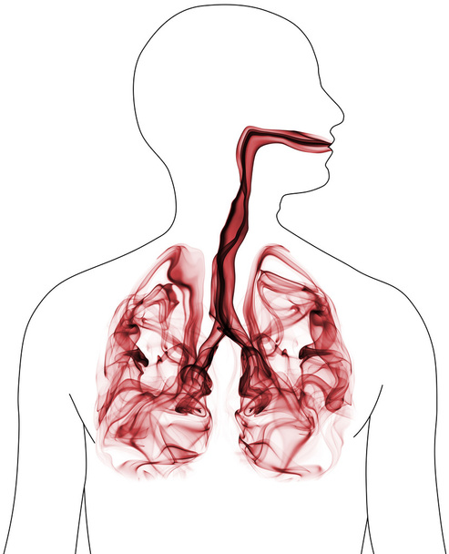 Formation de fumée rouge en forme de poumons humains
 - Photo, image